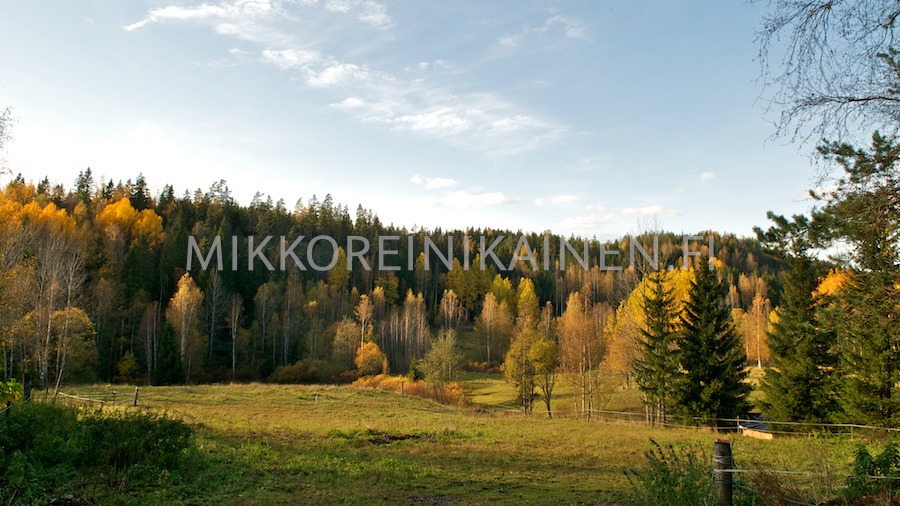 Syksyinen maisema Nuuksiossa